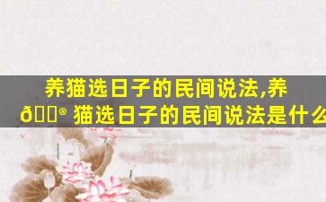 养猫选日子的民间说法,养 💮 猫选日子的民间说法是什么